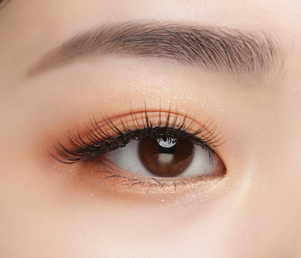 6 粘贴假睫毛步骤6.jpg